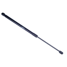 Tailgate Strut for Fiat Panda II (169) 2003-2011 (1 pc)